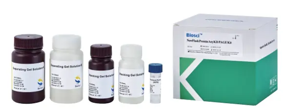 BioSci™ Protein Gel Kit
